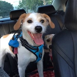 Meet your Posher, Alison